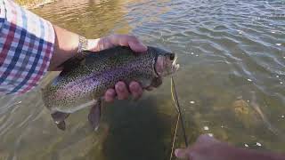 Fly Fishing in Colorado  Upper Colorado River [upl. by Zakarias22]