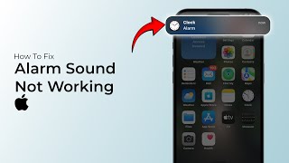 How to Fix iPhone Alarm Not WorkingiOS 18 [upl. by Akinohs306]