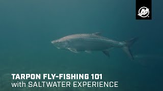 Tarpon FlyFishing 101 with Saltwater Experience [upl. by Olia8]