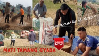 जे चाहिन्छ त्यसैले सताउँदा कति पीडा होला।।झरि VS कृषक।।FARMERS TRADEGYfarmerlifevideovillage🇳🇵 [upl. by Ailime486]