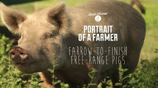 Farrow to Finish Free Range Pig Farm [upl. by Pacian]