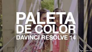 DAVINCI RESOLVE 14 Crear paleta de color Color Palette [upl. by Daiz476]