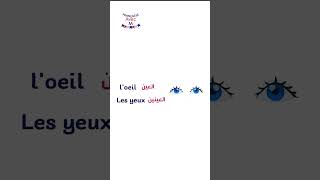 الفرنسية للمبتدائين education français france [upl. by Ecyal]