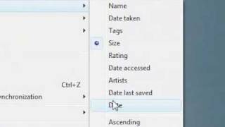 How to arrange files and folders in a custom sort by filter [upl. by Tshombe681]