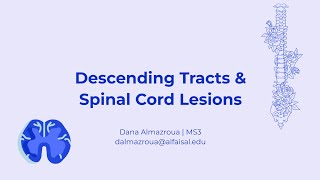 Descending Tracts amp Spinal Cord Lesions  Dana Almazroua  NEU 241 PAL review session [upl. by Munniks]