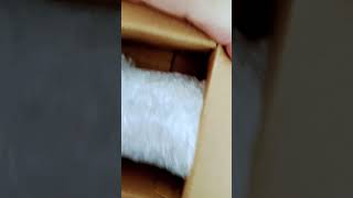 Unboxing video dowser healing products trending viralvideo shorts [upl. by Moitoso]