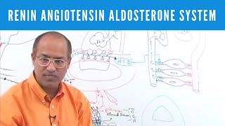 Renin Angiotensin Aldosterone System  RAAS👨‍⚕️ [upl. by Celie]