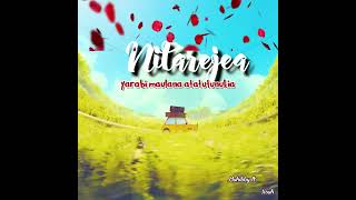 MuhibiTz ft xouh Nitarejea Official Audio Lyrics [upl. by Anar]