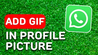 How to Add Gif in Whatsapp Profile Picture 2024  Full Guide [upl. by Nnylsaj907]