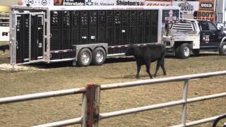 Brooks Livestock Emergency Trailer [upl. by Ennayar]