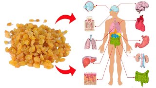 Top 10 Health Benefits Of Raisins  Are Raisins Good for You [upl. by Leind789]