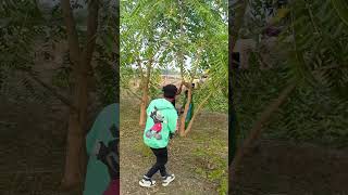 Met khon met Dak jorok tin song santali love newsong viralvideo [upl. by Airamesor]