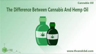 The differences between hemp oil and cbd oil [upl. by Azzil515]