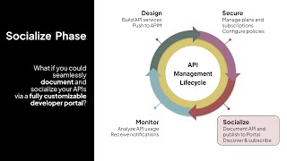 Celigo API Management The Socialize Phase [upl. by Secnarf70]