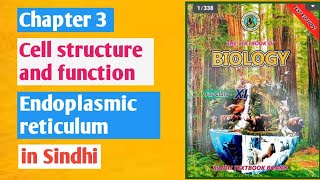 Endoplasmic reticulum class 11 biology chapter 3 Sindh board [upl. by Quinlan466]