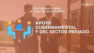 11 Impacto de las MiPyMEs en el desarrollo de México [upl. by Hazrit630]