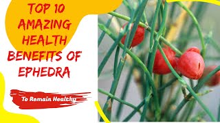 Top 10 Amazing Health Benefits Of Ephedra [upl. by Eserahc990]