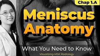 Chapter 1 A⎜Meniscus Anatomy⎜Knee MRI⎜Visualizing MSK Radiology⎜Please refer to the timeline [upl. by Albertina]