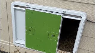 Omlet Automatic Chicken Coop Door Opener Operated Does Omlet Door work for Shed to Coop conversion [upl. by Gayn]