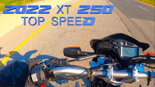 2022 Yamaha XT 250 TOP SPEED [upl. by Latham495]