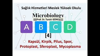 Temel Mikrobiyoloji 4 [upl. by Conant]