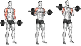 Barbell Exercises The Ultimate Guide for Muscle Growth [upl. by Naiviv]