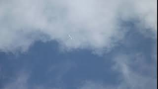 Red tailed Tropicbird in flight Fort DeRussy Beach Waikiki Oahu © Denise Motard [upl. by Aehsel]