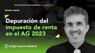 Contribuyentes que deberán depurar su impuesto de renta del AG 2023 con el sistema cedular [upl. by Bodrogi]