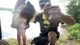 Mind Blowing Fish Extravaganza  Some of the BIGGEST Pan Fish we’ve ever caught [upl. by Alonso]