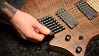 strandberg Boden Series Instrument Setup amp Maintenance Video [upl. by Yltsew386]