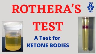 ROTHERAS TESTKetone Bodies Detection [upl. by Erme]