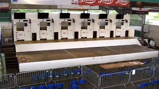 Sheep Shearing at Balmoral Show [upl. by Sucrad870]