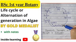 Life cycle of algaeAlternation of generationTypes of life cycle [upl. by Aimaj]