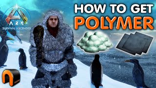 ARK POLYMER How To Get Polymer ARK Survival Ascended [upl. by Anastassia]