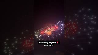 Diwali Crazy Experiment viralvideo fireworks crackerstesting diwalicelebration experiment [upl. by Cida362]