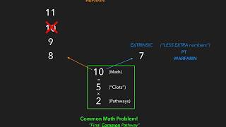 Coagulation Cascade  USMLE [upl. by Thurber900]