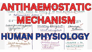 Antihaemostatic mechanism fibrinolysis Telegram httpstmedrshikhasaxenahumanphysio [upl. by Dorrej358]