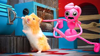 🔴 Hamster Escape Live 247  The Worlds Largest Hamster Prison Maze In Real Life [upl. by Hanoy]