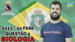 UECE 2023  2a Fase  Questão 5  Em relação aos animais cordados escreva V ou F conforme seja verda [upl. by Angelita]