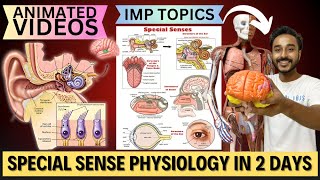 special sense physiology in 2 days  how to study special sense physiology important topics [upl. by Lashonde]