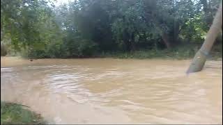 🏞️ El Río Carrión aumenta de caudal a su paso por la localidad palentina de La Serna [upl. by Manas]