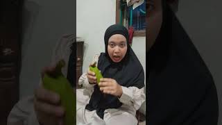 lagi makan semangka semangka lucu makanbuah funny shorts videoshort [upl. by Haden]