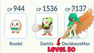 Shundo Rowlet Evolution Pokemon Go  pokemongo rowlet pokemongoevolution shundo decidueye [upl. by Kartis100]