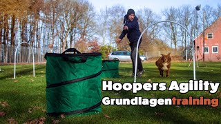 Hoopers Agility Grundlagentraining  Hoopers für Anfänger [upl. by Koller]