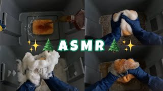 ASMR  SATISYFING SPONGE SQUEEZING  NATURE SOUNDS 🤩 extremely soothing [upl. by Notluf]