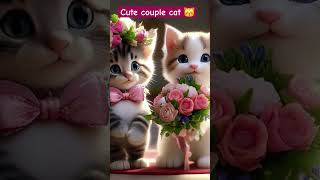 Ham se pucho ham kitna intzar karte cute couple cat loveytshorts [upl. by Lohner]