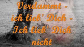 Matthias Reim  Verdammt ich lieb dich lyrics [upl. by Dinin]