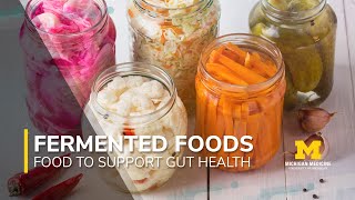 Foods to Support Gut Health Series Fermented Foods [upl. by Leontine]