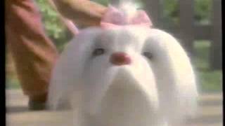 Magic Leash Puppy commercial  1999 [upl. by Duax505]