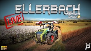 ✅LS19⭐️ELLERBACH⭐️PADDY´s FARM⭐️PS4 LIVE🔴576 [upl. by Pathe]